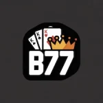 B77 Game